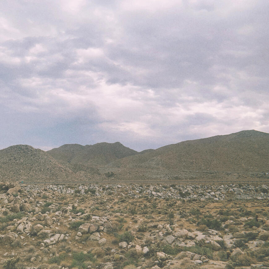 Untitled Untitled